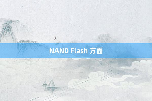 NAND Flash 方面