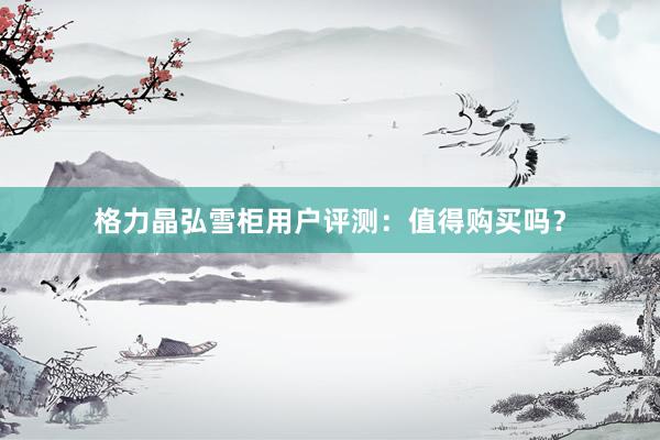 格力晶弘雪柜用户评测：值得购买吗？