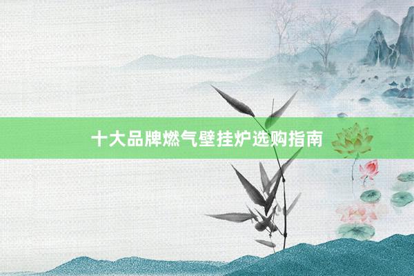 十大品牌燃气壁挂炉选购指南