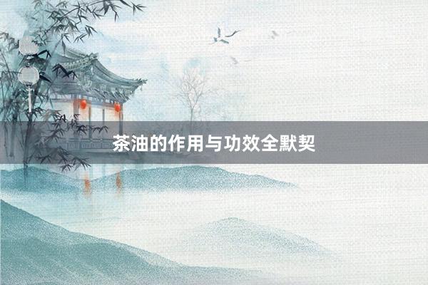 茶油的作用与功效全默契