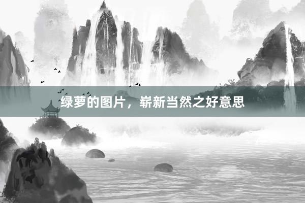 绿萝的图片，崭新当然之好意思